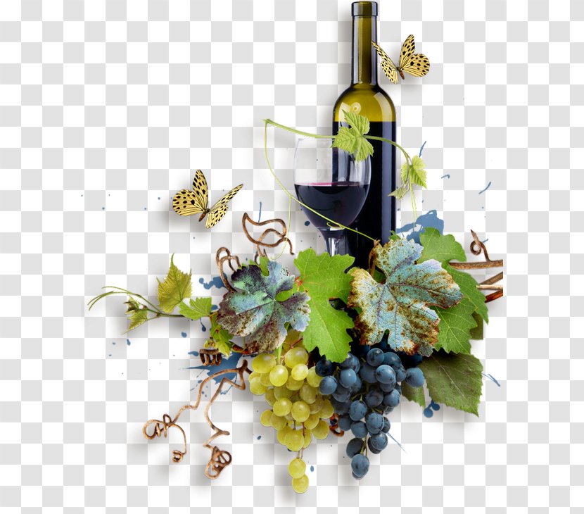 Grape White Wine Harvest Cardoland - Red - Summer Fest Transparent PNG