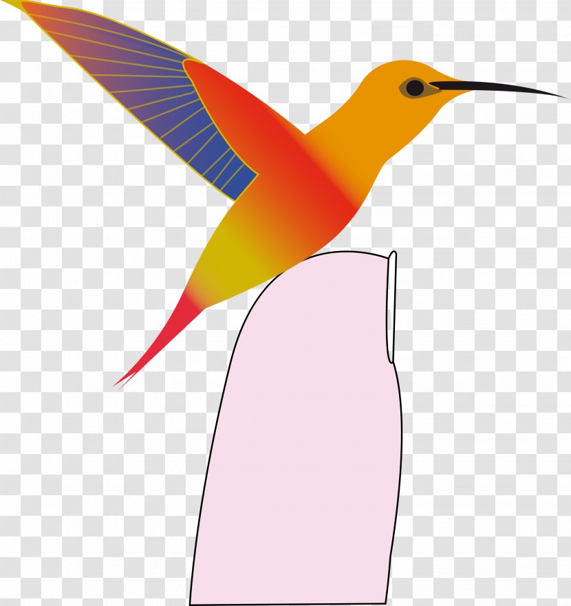 Hummingbird Clip Art - Pollinator Transparent PNG