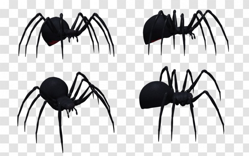 Widow Spiders Western Black Image Spider Web Transparent PNG