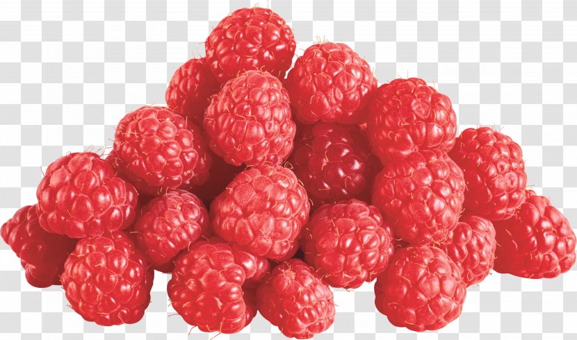 Raspberry Fruit - Produce - Rraspberry Image Transparent PNG
