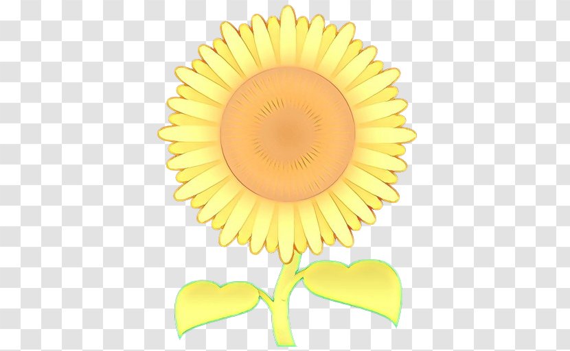 Sunflower Background - Gerbera Plant Transparent PNG