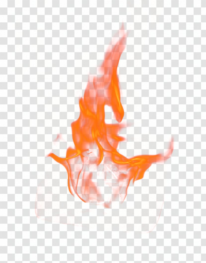 Teppanyaki Fire Flame Light - Tree - Beautiful Orange Flames Transparent PNG