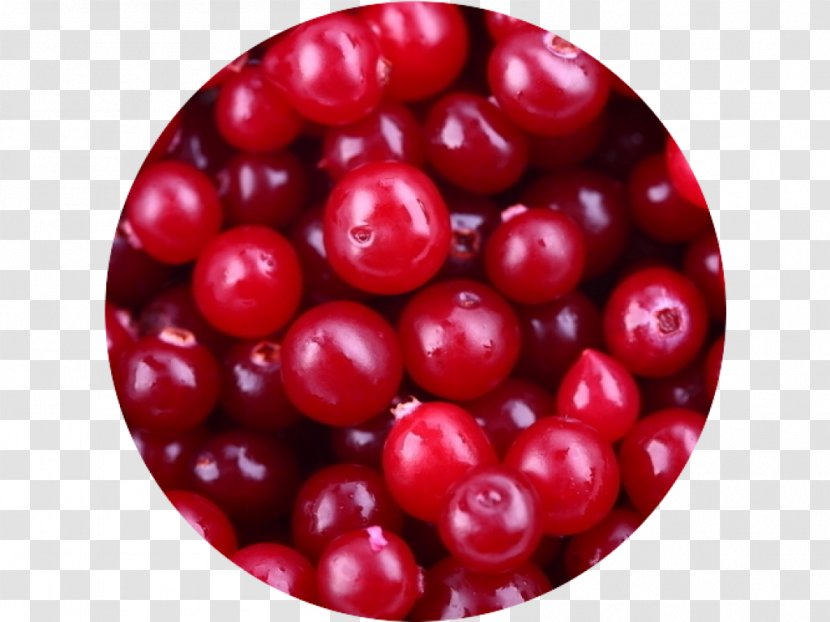 Cranberry Juice Mors Cosmopolitan Transparent PNG