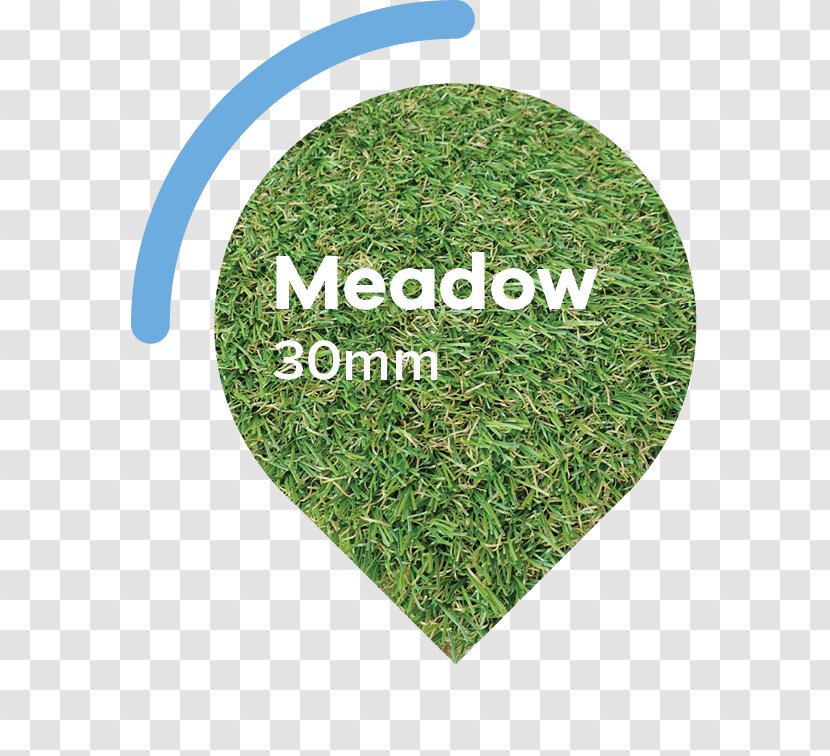 Lawn Artificial Turf Garden Meadow Thatch - Medow Transparent PNG