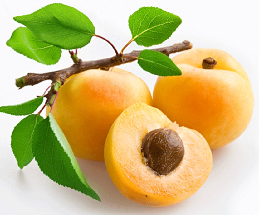 Apricot Oil Fruit Kernel Plum Blossom - Seed Transparent PNG
