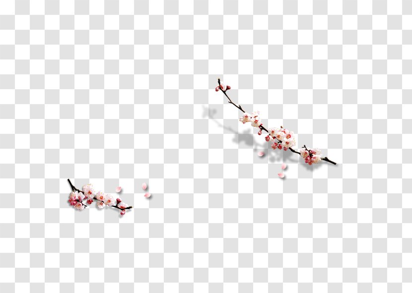 Adobe Illustrator Computer File - Twig - Plum Flower Transparent PNG