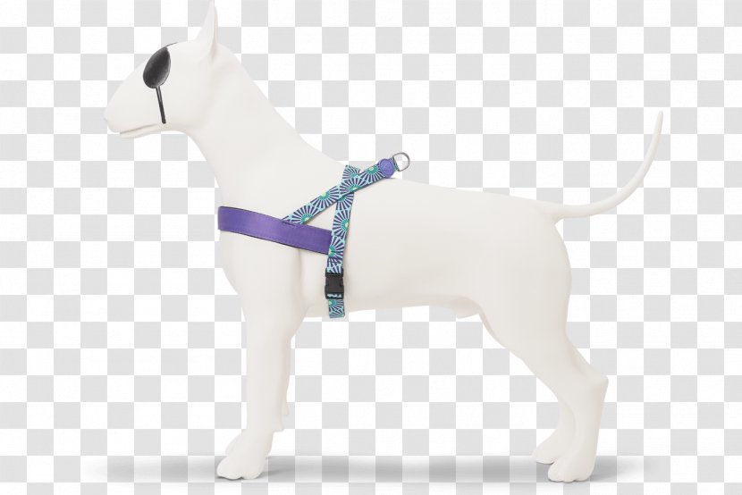 Dog Breed Puppy Leash Snout - Outerwear - Sun Top Transparent PNG