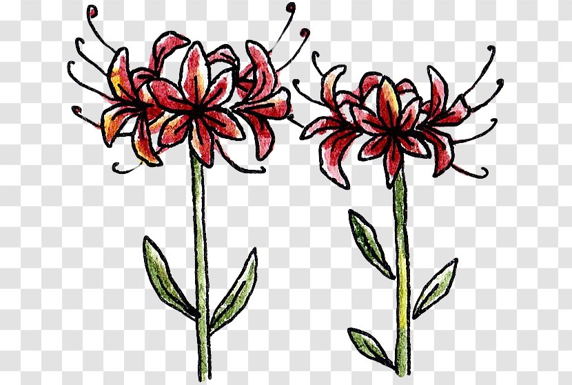 Plant Red Spider Lily Clip Art - Train Transparent PNG