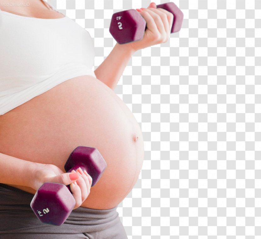 Pregnancy - Heart - Pregnant Woman Mother Dumbbell Fitness Transparent PNG