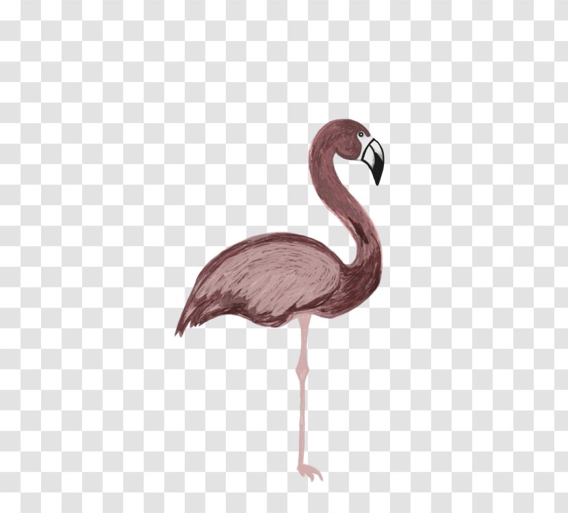 Drawing Visual Arts Watercolor Painting Paper - Flamingo - Art Transparent PNG