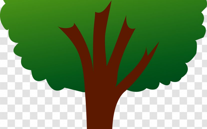 Green Leaf Background - Fruit Tree - Symbol Flower Transparent PNG