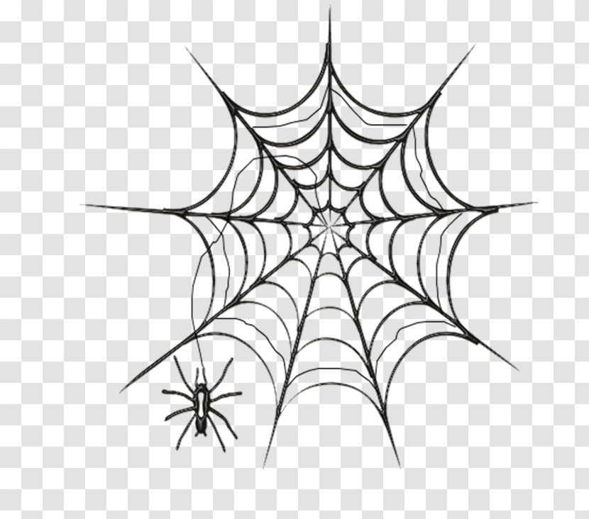 Spider Web Drawing Clip Art - Black And White Transparent PNG