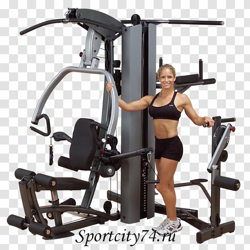 Exercise Equipment Fitness Centre Human Body Physical - Flower - Dumbbell Transparent PNG