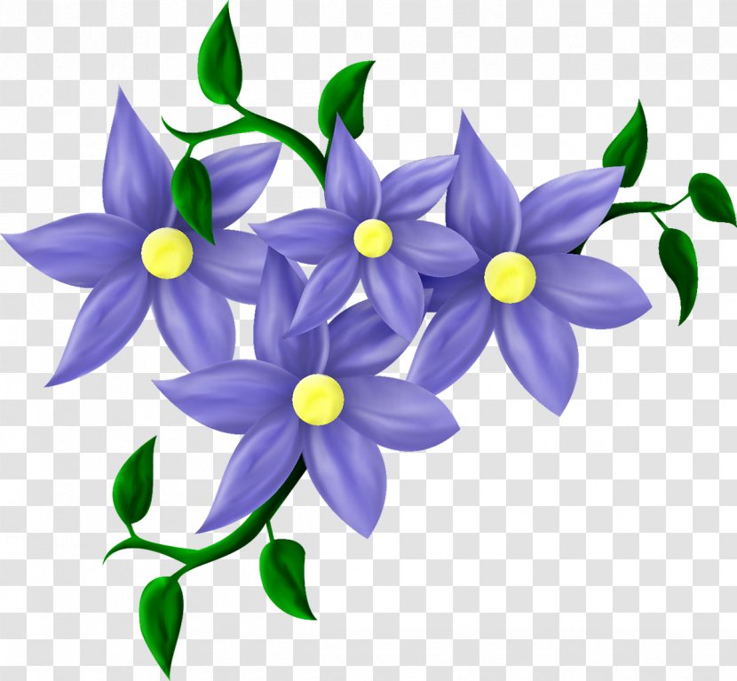 Flower - Plant - Lilac Transparent PNG