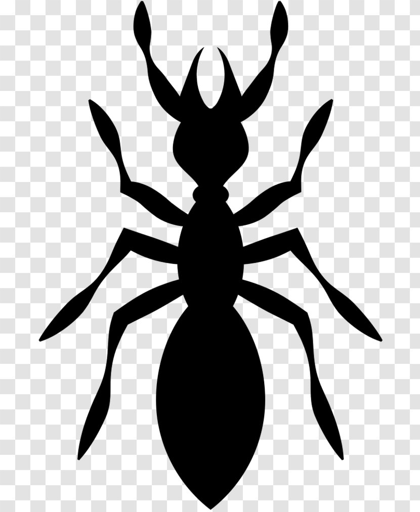 Insect Pest Control Clip Art Black & White - Invertebrate - M Transparent PNG