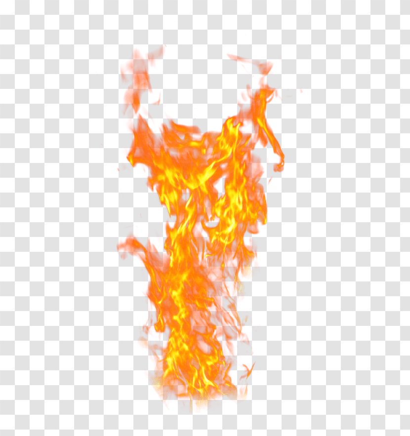 Transparency Flame Image Fire - Frame Transparent PNG