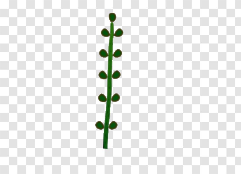 Leaf Line Green Angle Plant Stem Transparent PNG