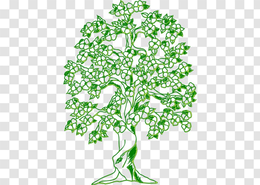 Coloring Book Tree Drawing Mandala - Plant Stem - Green Cliparts Transparent PNG