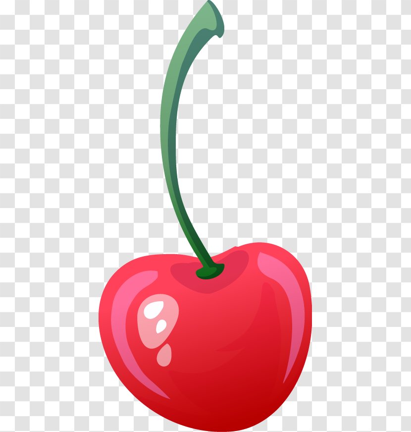 Cherry Fruit Drawing - Beautiful Transparent PNG