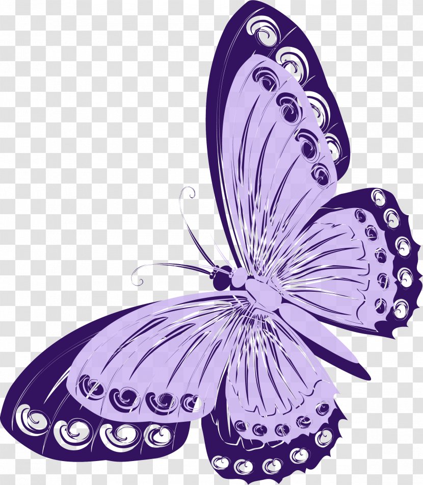 Monarch Butterfly Insect Lilac - Nymphalidae Transparent PNG
