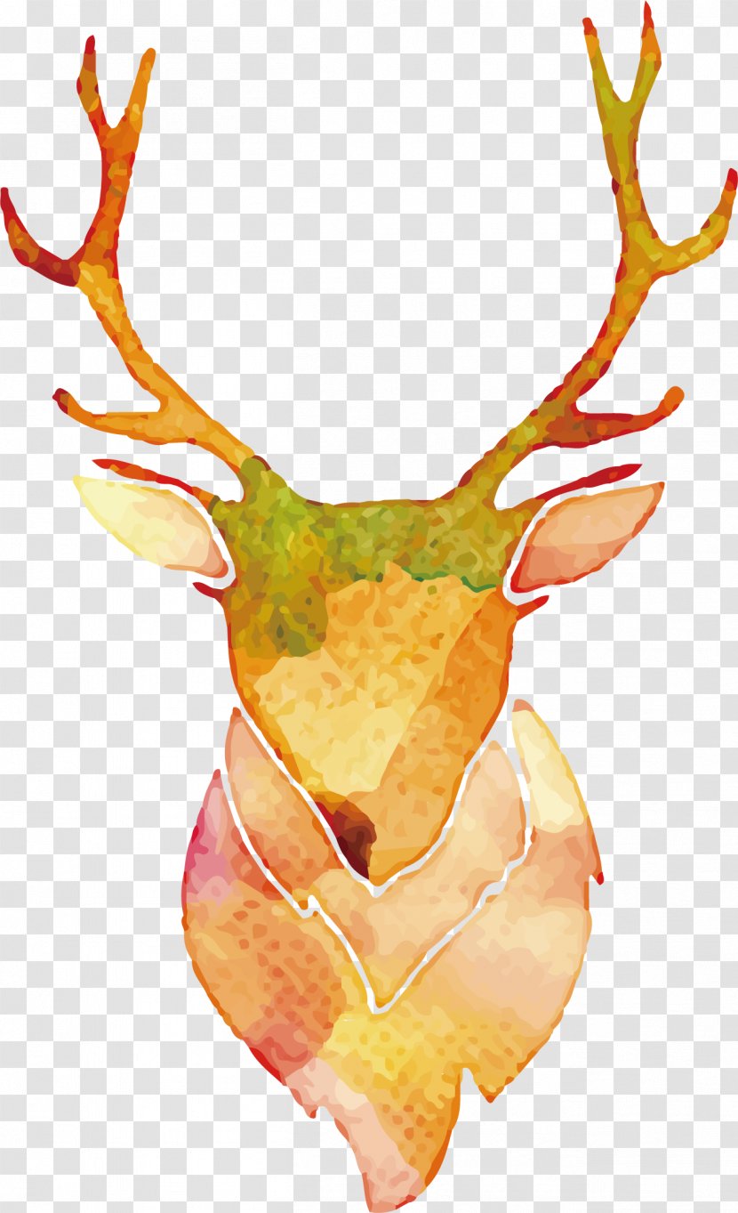 Antler - Cartoon - Watercolor Deer Vector Transparent PNG