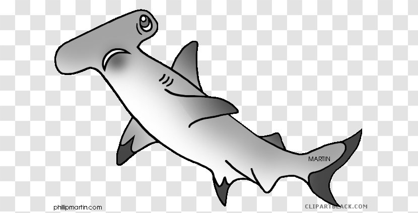 Great White Shark Clip Art Hammerhead Shortfin Mako - Carcharhiniformes Transparent PNG