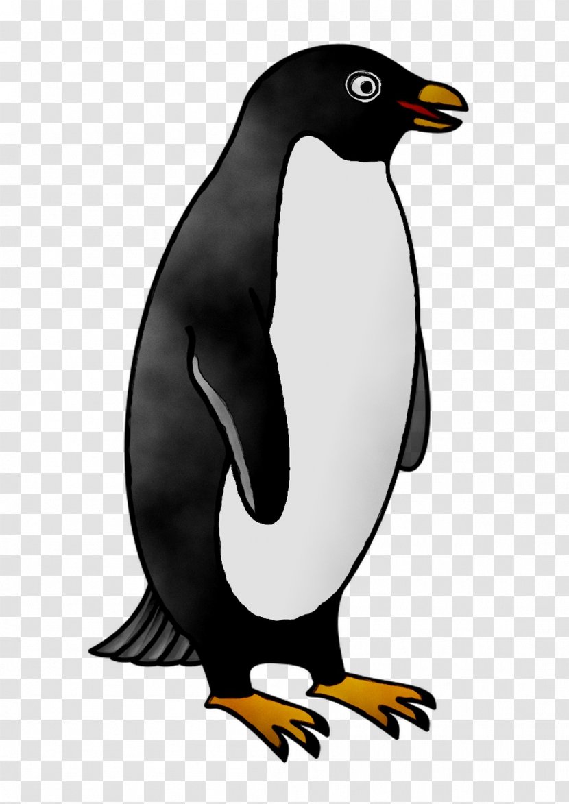 King Penguin Fauna Beak Transparent PNG