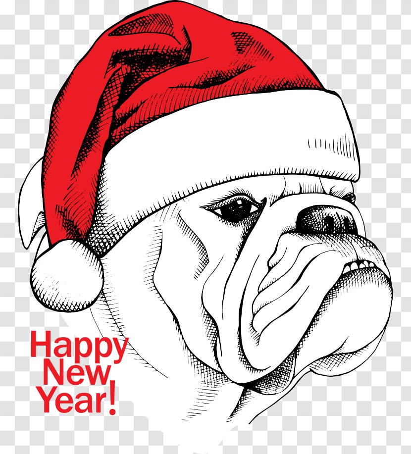 White English Bulldog Cartoon Illustration - Giant Panda - Vector Christmas Dog Transparent PNG