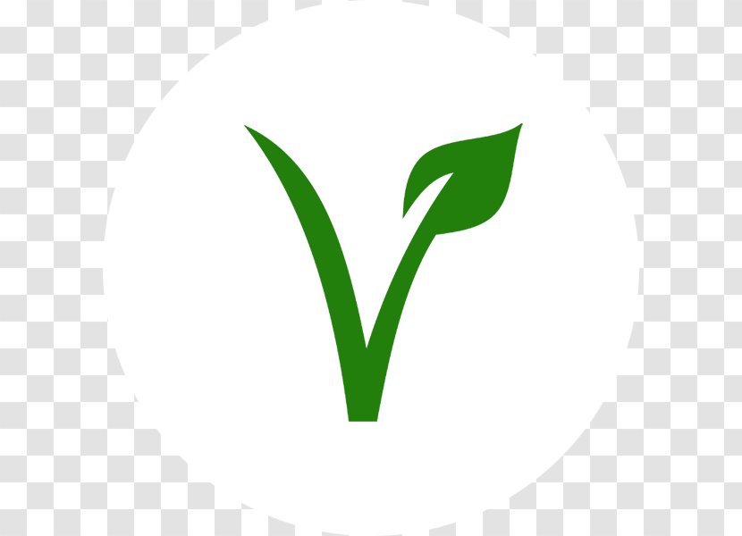 Veganism Vegetarianism Coffee Food Restaurant - Bean - Ingredient Transparent PNG