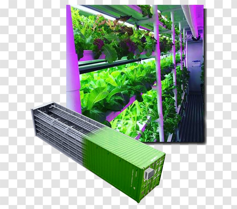 Intermodal Container Hydroponics Agriculture Shipping Farm - Vertical Farming - Lettuces Transparent PNG