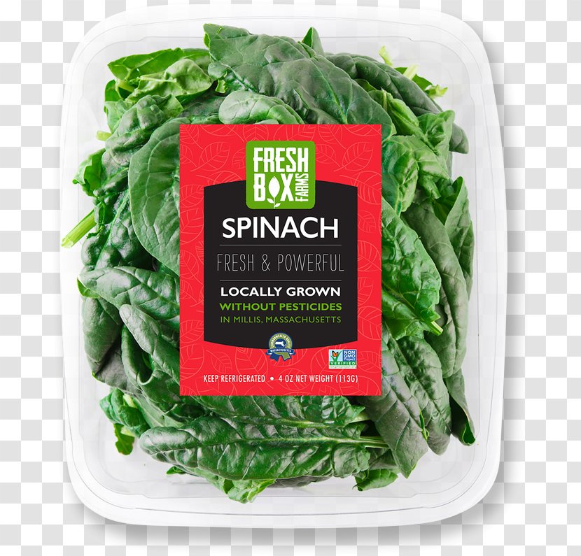 Spinach Vegetarian Cuisine Spring Greens Chard Rapini - Leaf Vegetable Transparent PNG