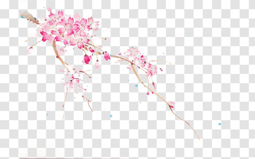 Sakura-Con Cherry Blossom Idea - Flower - Pink Blossoms Transparent PNG