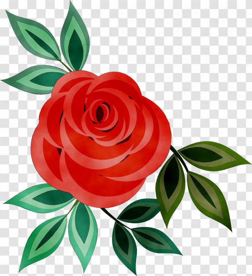 Dripping Springs Community Library Garden Roses Cut Flowers Floral Design - Hybrid Tea Rose - Branch Transparent PNG