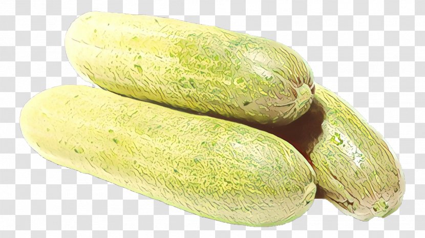 Summer Vegetarian - Cucumber - Winter Melon Luffa Transparent PNG