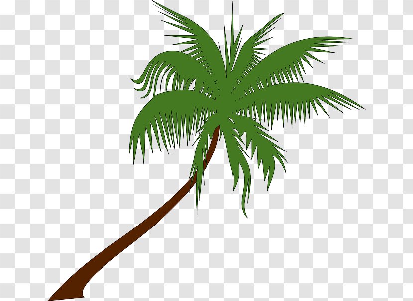 Coconut Arecaceae Tree Clip Art - Organism - Palm Leaves Transparent PNG
