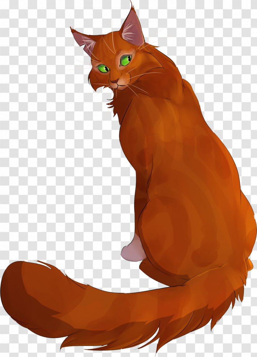 Whiskers Kitten Tabby Cat Squirrel - Orange Transparent PNG