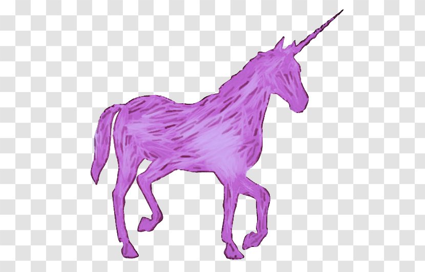 Unicorn - Mythical Creature - Mare Horse Transparent PNG