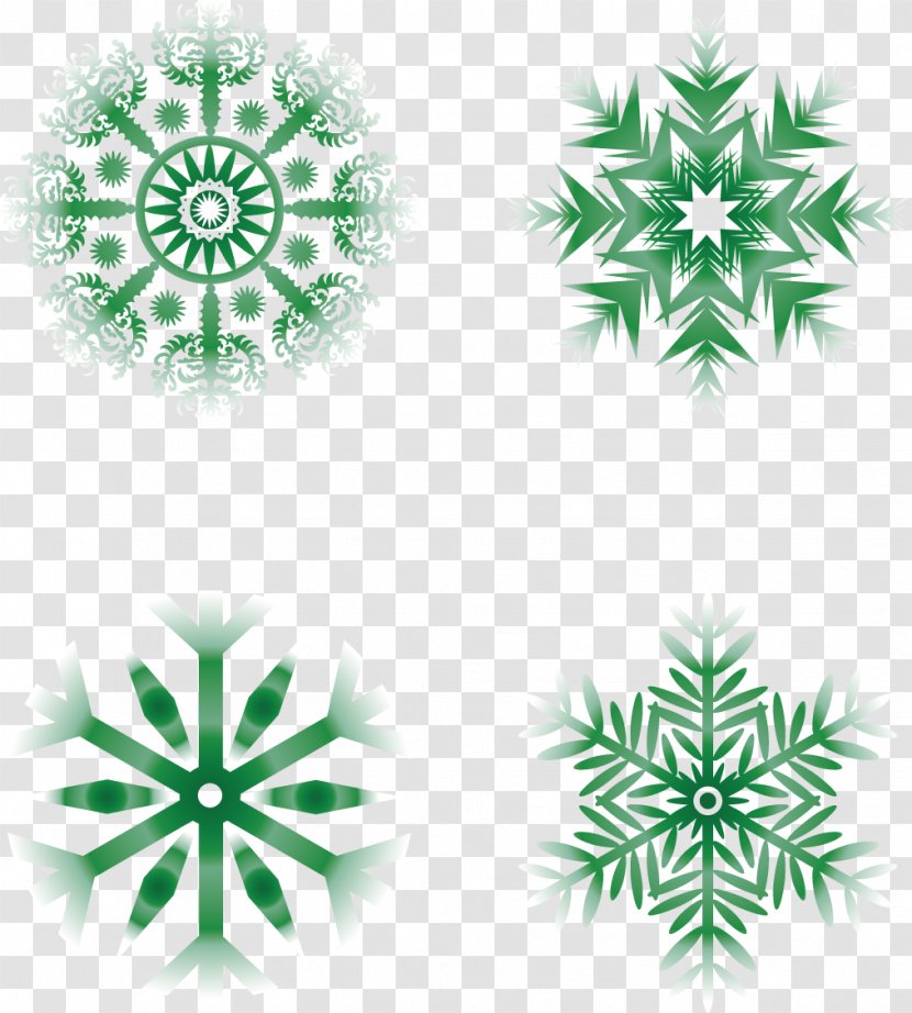 Green Snowflake Schema - Symmetry - Creative Snowflakes Transparent PNG