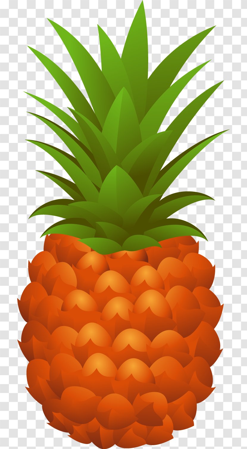Pineapple Cdr - Vector Transparent PNG