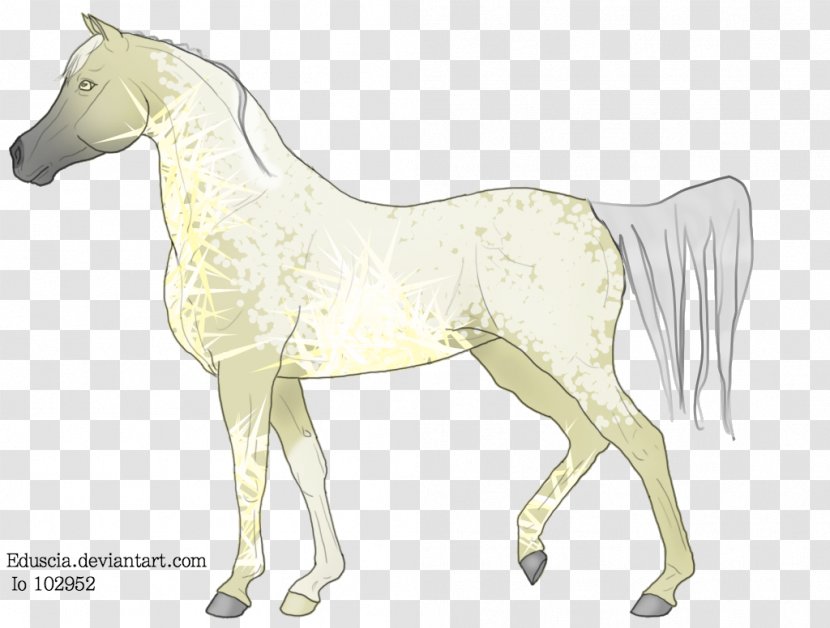 Foal Mustang Mare Stallion Halter - Tail Transparent PNG