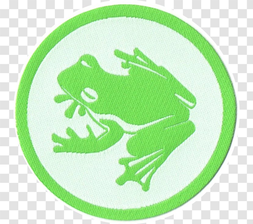 Polska - Green - Irlandia Tree Frog Przewóz Freight Forwarding Agency ArtikelA4 Transparent PNG