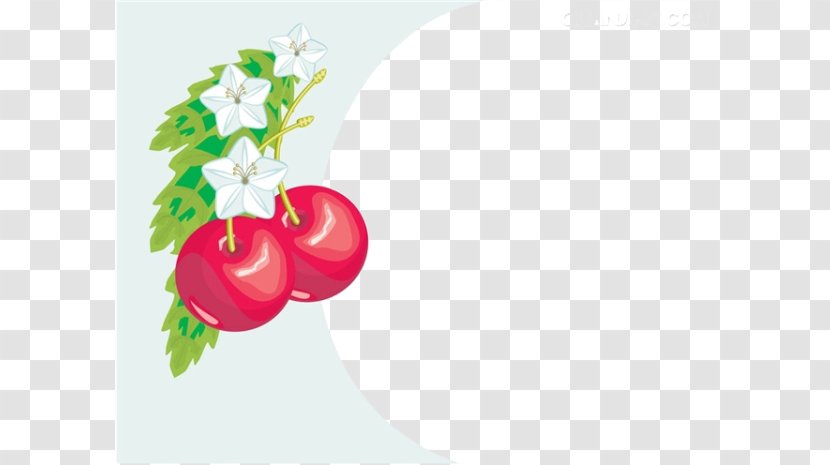 Cherry Photography Royalty-free Illustration - Vegetable - Cartoon Material Transparent PNG
