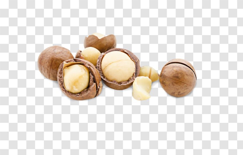 Macadamia Nut Praline Peanut - Candy - Nuts Transparent PNG