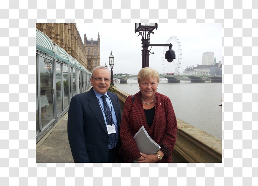 London Eye Lampton School Water Energy National Secondary Transparent PNG