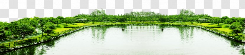 Landscape Architecture Download - Ecosystem - Lake Transparent PNG