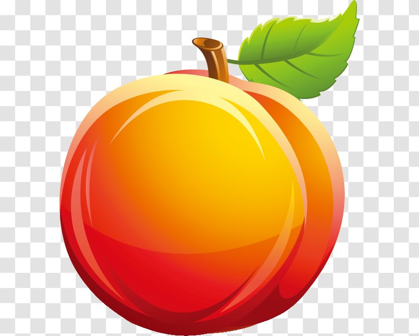 Peach Fruit Juicer Auglis Common Plum - Sphere - Summer Season Transparent PNG