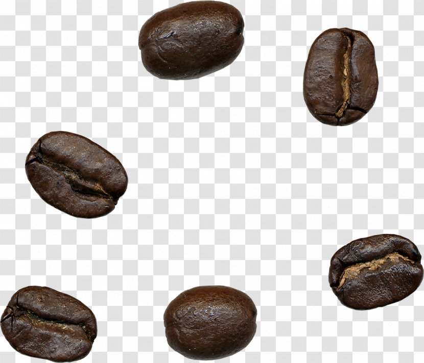 Jamaican Blue Mountain Coffee Cafe - Beans Transparent PNG