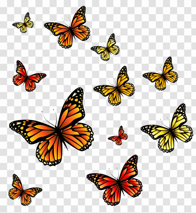 Monarch Butterfly Clip Art - Pattern - Butterflies Image Transparent PNG