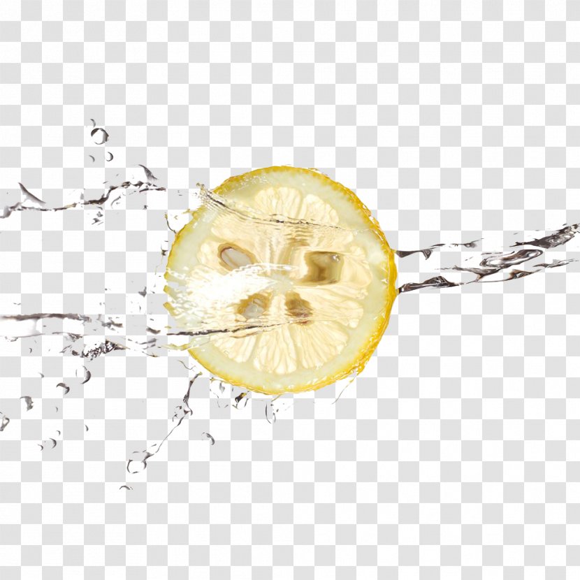 Lemon Shuili Auglis - Water - Floating In The Transparent PNG