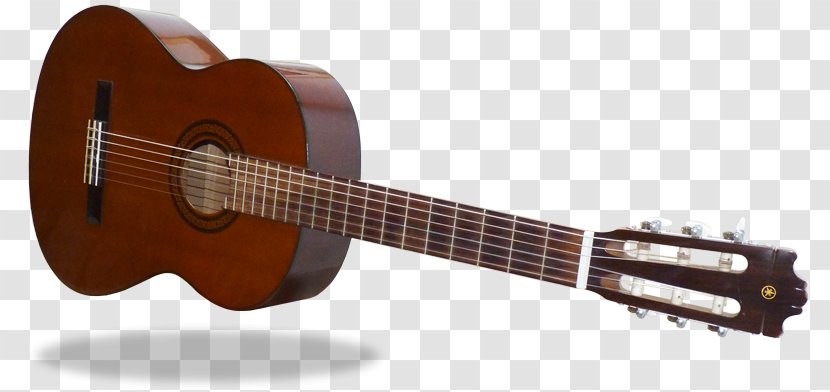 Acoustic Guitar Cavaquinho Bass Ukulele Tiple - String Instrument Transparent PNG